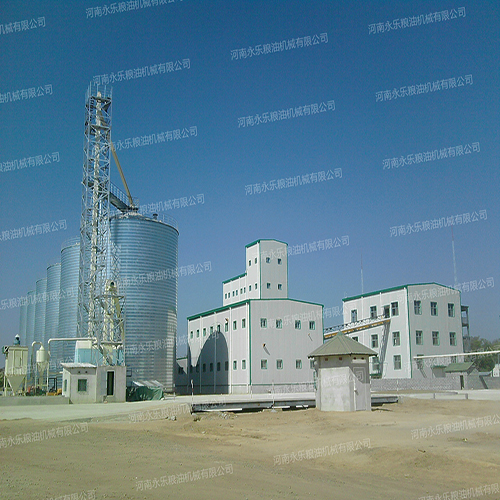 Real view of 100t soybean project in Zambia